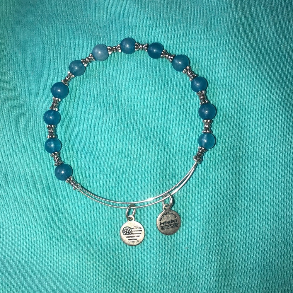 ALEX & ANI